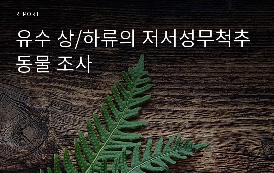 유수 상/하류의 저서성무척추동물 조사