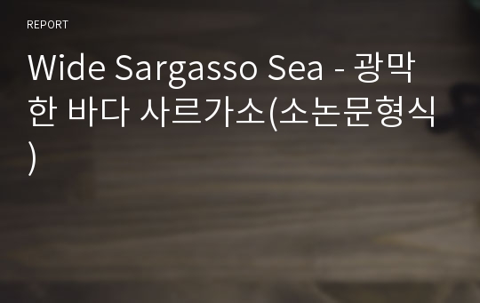 Wide Sargasso Sea - 광막한 바다 사르가소(소논문형식)