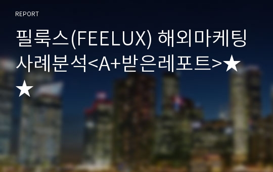 필룩스(FEELUX) 해외마케팅사례분석&lt;A+받은레포트&gt;★★