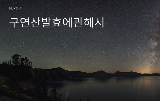 구연산발효에관해서