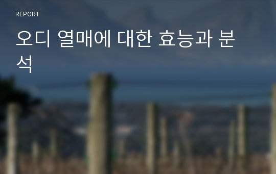 오디 열매에 대한 효능과 분석