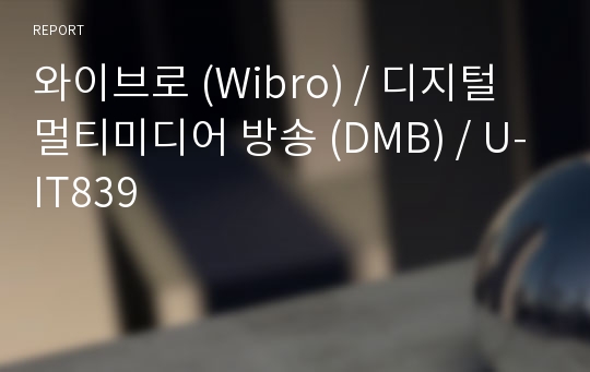 와이브로 (Wibro) / 디지털 멀티미디어 방송 (DMB) / U-IT839