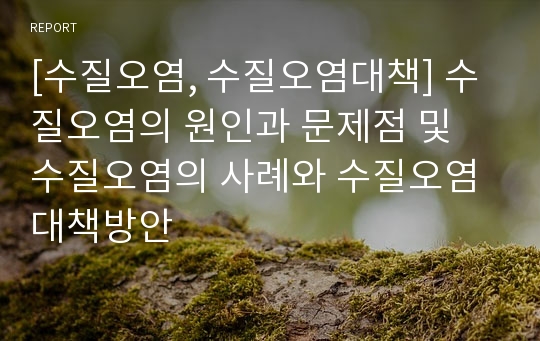 [수질오염, 수질오염대책] 수질오염의 원인과 문제점 및 수질오염의 사례와 수질오염 대책방안