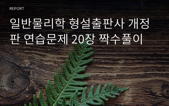 일반물리학 형설출판사 개정판 연습문제 20장 짝수풀이