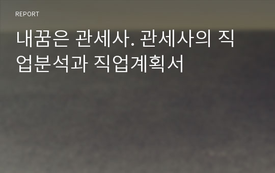 내꿈은 관세사. 관세사의 직업분석과 직업계획서