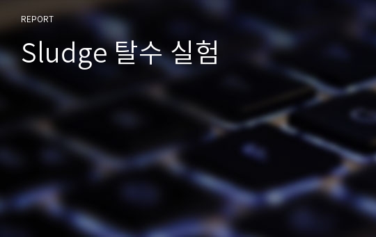 Sludge 탈수 실험