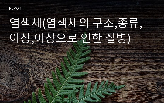 염색체(염색체의 구조,종류,이상,이상으로 인한 질병)