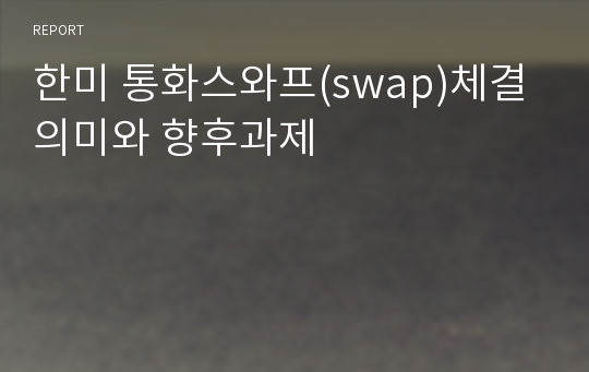 한미 통화스와프(swap)체결 의미와 향후과제