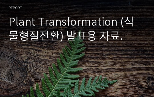 Plant Transformation (식물형질전환) 발표용 자료.