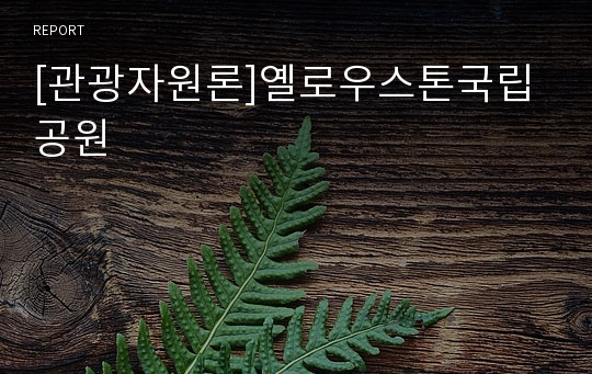 [관광자원론]옐로우스톤국립공원