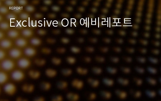 Exclusive OR 예비레포트