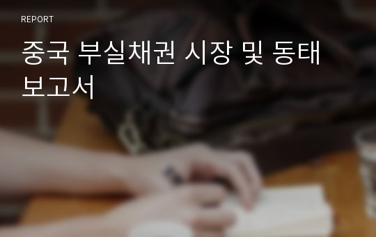 중국 부실채권 시장 및 동태보고서