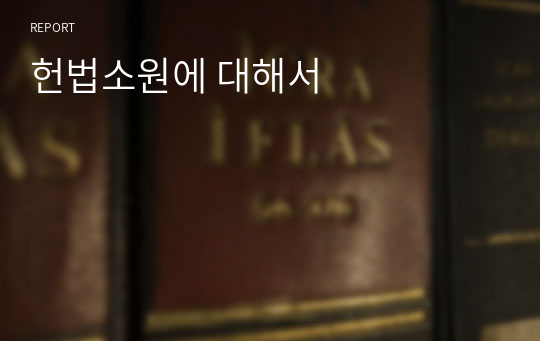 헌법소원에 대해서