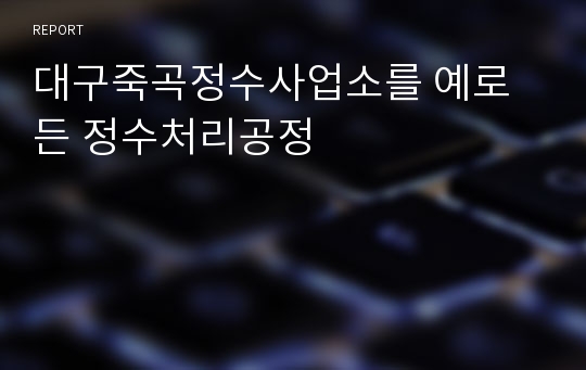 대구죽곡정수사업소를 예로 든 정수처리공정