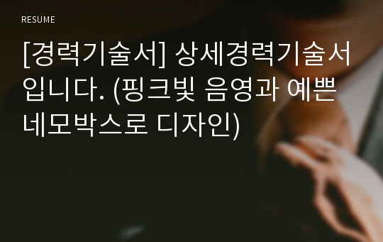 [경력기술서] 상세경력기술서입니다. (핑크빛 음영과 예쁜 네모박스로 디자인)