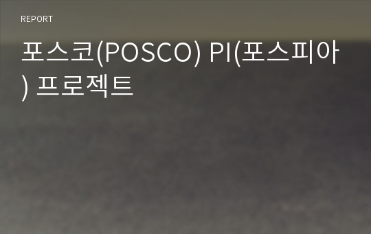 포스코(POSCO) PI(포스피아) 프로젝트