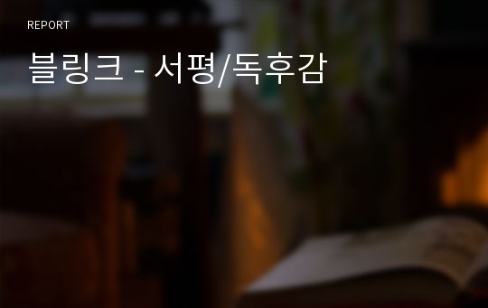 블링크 - 서평/독후감
