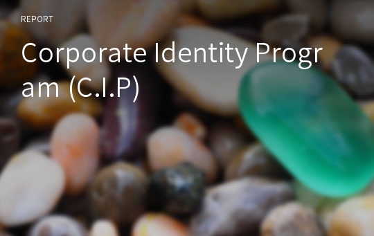 Corporate Identity Program (C.I.P)