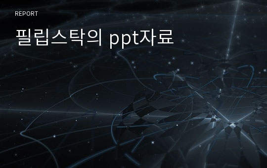 필립스탁의 ppt자료