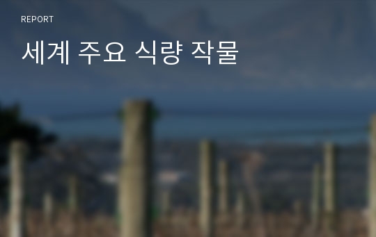 세계 주요 식량 작물