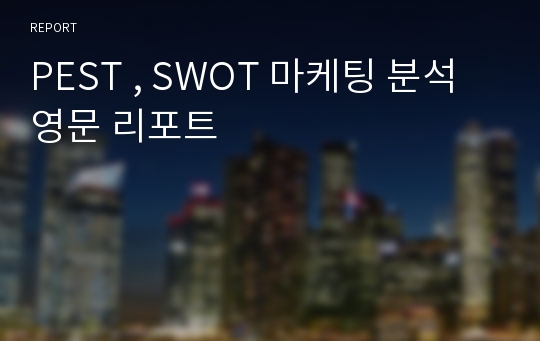 PEST , SWOT 마케팅 분석 영문 리포트