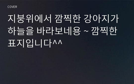 지붕위에서 깜찍한 강아지가 하늘을 바라보네용 ~ 깜찍한 표지입니다^^