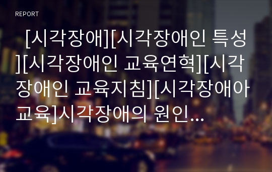   [시각장애][시각장애인 특성][시각장애인 교육연혁][시각장애인 교육지침][시각장애아교육]시각장애의 원인과 시각장애인의 특성, 시각장애인의 교육연혁 및 시각장애인을 위한 교육지침 분석(시각장애아교육)