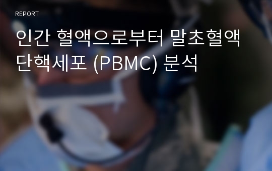 인간 혈액으로부터 말초혈액단핵세포 (PBMC) 분석