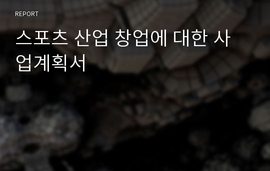 스포츠 산업 창업에 대한 사업계획서