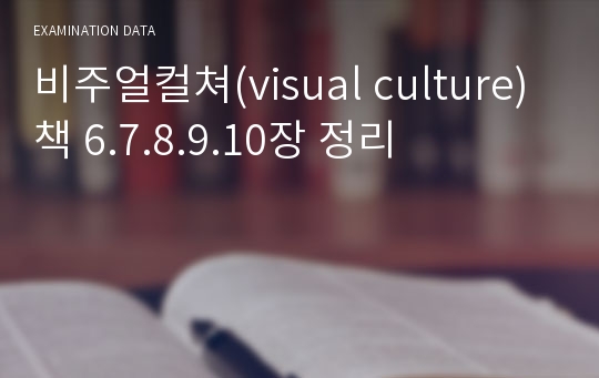 비주얼컬쳐(visual culture) 책 6.7.8.9.10장 정리