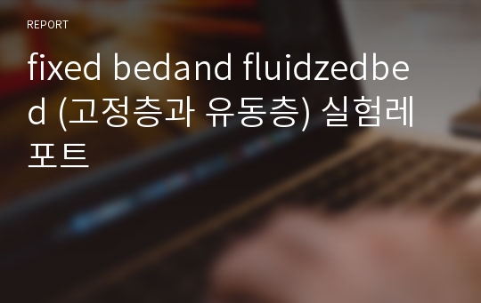 fixed bedand fluidzedbed (고정층과 유동층) 실험레포트