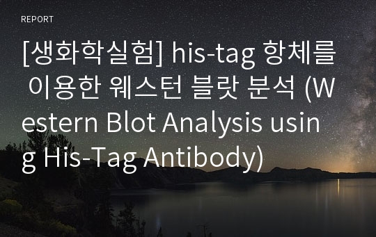 [생화학실험] his-tag 항체를 이용한 웨스턴 블랏 분석 (Western Blot Analysis using His-Tag Antibody)