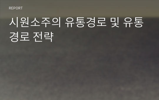 시원소주의 유통경로 및 유통경로 전략