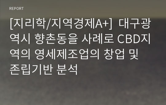 [지리학/지역경제A+]  대구광역시 향촌동을 사례로 CBD지역의 영세제조업의 창업 및 존립기반 분석