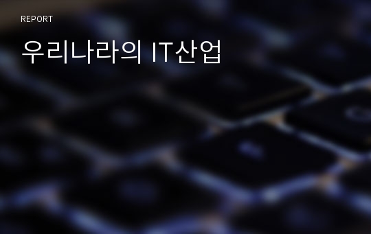 우리나라의 IT산업