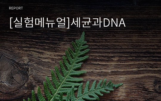 [실험메뉴얼]세균과DNA