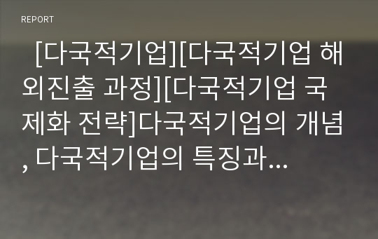   [다국적기업][다국적기업 해외진출 과정][다국적기업 국제화 전략]다국적기업의 개념, 다국적기업의 특징과 다국적기업의 해외진출 동기, 다국적기업의 해외진출 과정 및 다국적기업의 국제화 전략 분석