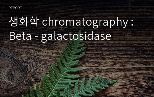 생화학 chromatography : Beta - galactosidase