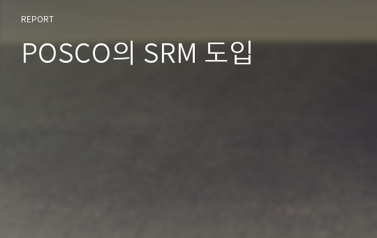 POSCO의 SRM 도입