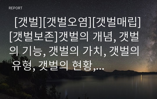   [갯벌][갯벌오염][갯벌매립][갯벌보존]갯벌의 개념, 갯벌의 기능, 갯벌의 가치, 갯벌의 유형, 갯벌의 현황, 갯벌의 오염, 갯벌의 개발, 갯벌의 간척, 갯벌의 매립, 향후 갯벌 보존 대책 분석(미국의 갯벌 보존 사례)