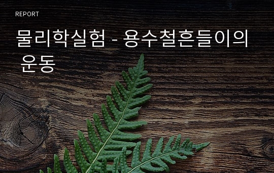 물리학실험 - 용수철흔들이의 운동