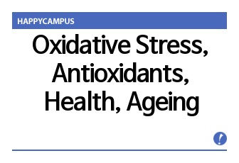 Oxidative Stress, Antioxidants, Health, Ageing