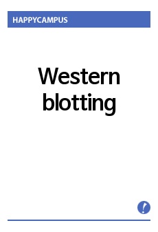 Western blotting