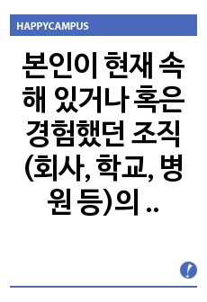 본인이 현재 속해 있거나 혹은 경험했던 조직(회사, 학교, 병원 등)의 SWOT 분석을 수행하고, 이를 바탕으로 조직의 향후 전략방향을 제안해 보시오.