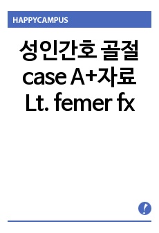 성인간호 골절 case A+자료 Lt. femer fx