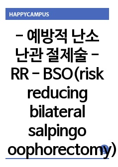 - 예방적 난소 난관 절제술 - RR - BSO(risk reducing bilateral salpingo oophorectomy)