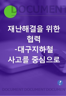 재난해결을 위한 지역사회 자원활용 및 전분분야 간 협력방안제시-대구지하철사고를 중심으로