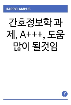 간호정보학 과제