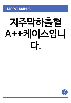 자료 표지