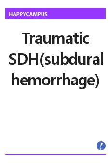 Traumatic SDH(subdural hemorrhage) 케이스 스터디